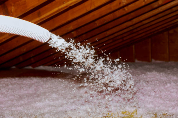 Best Cellulose Insulation in Spring Lake, MI