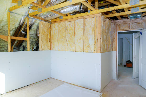 Best Eco-Friendly Insulation in Spring Lake, MI