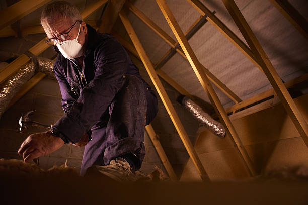 Best DIY Insulation Kits and Guidance in Spring Lake, MI